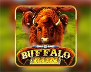 Buffalo Run