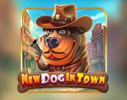 New Dog in Town